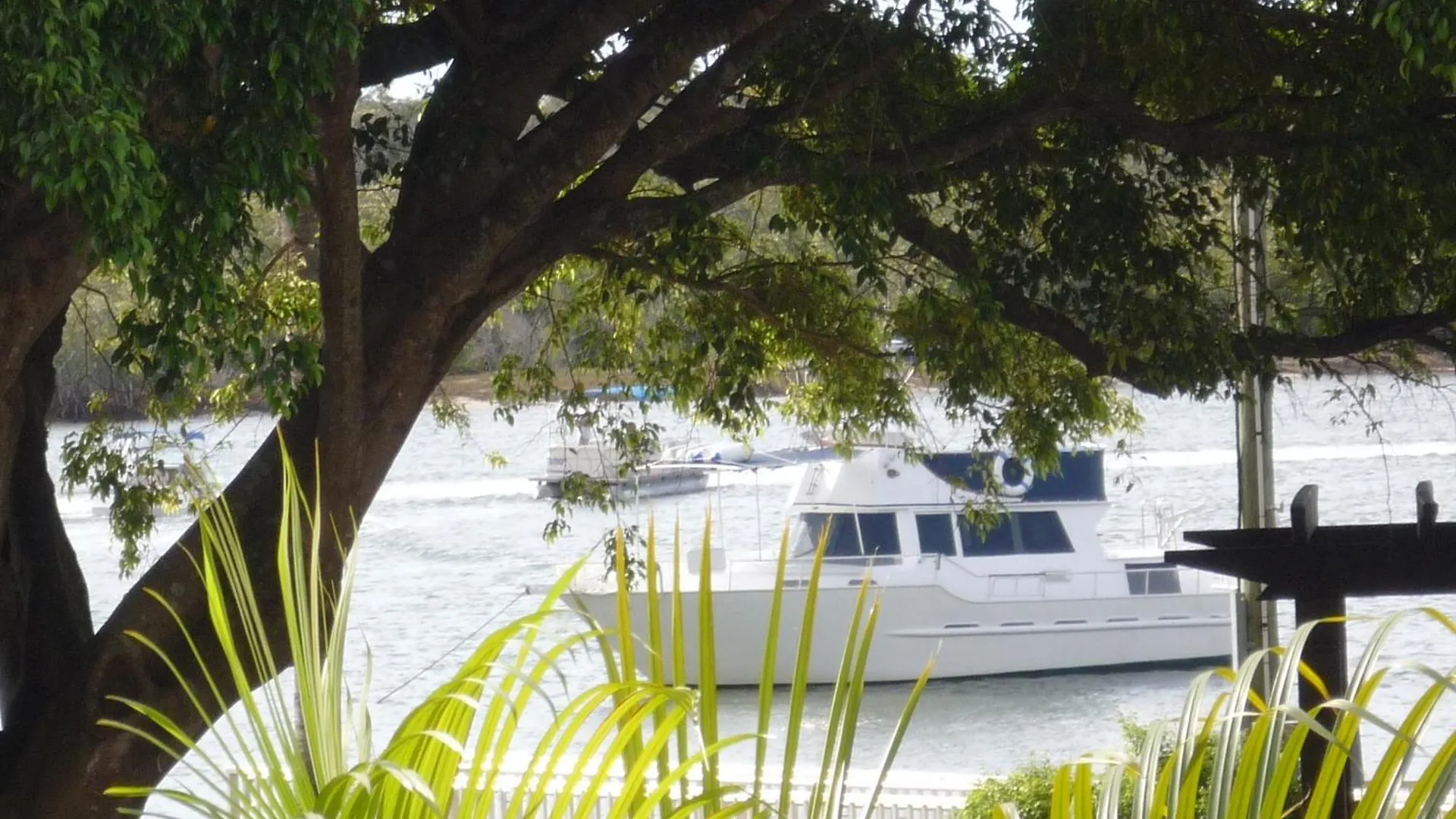 Regatta Noosa Aparthotel Noosaville